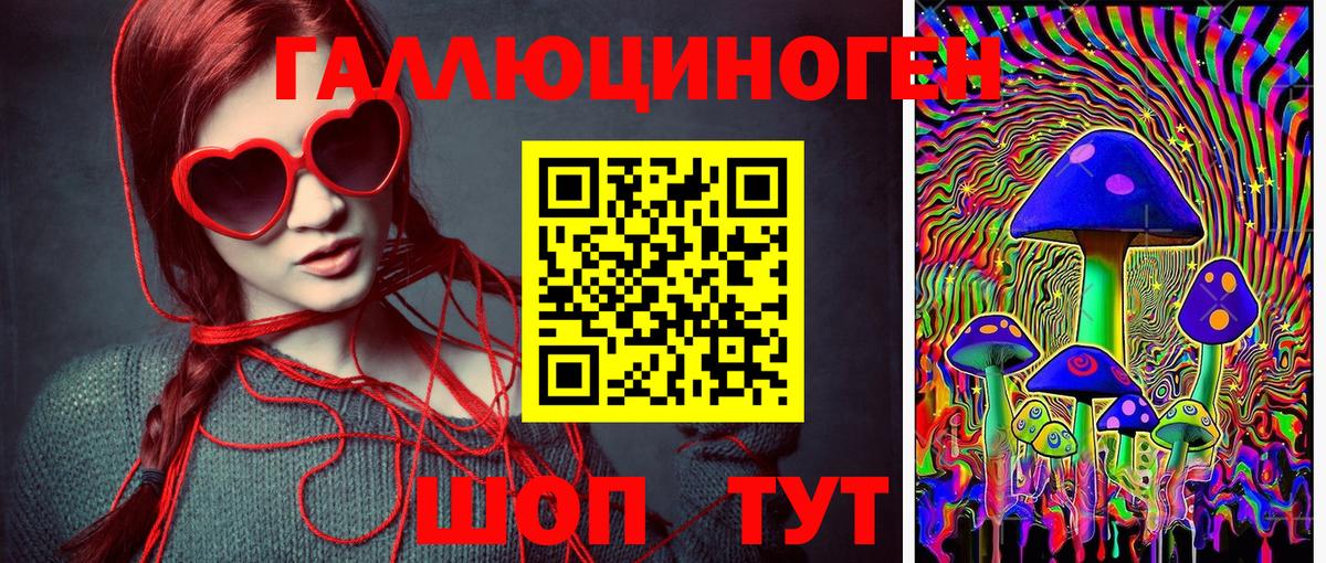Псилоцибиновые грибы прущие грибы Гуково