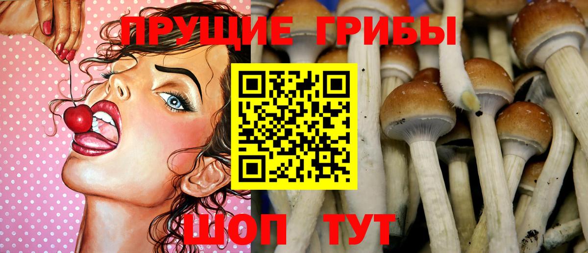 Галлюциногенные грибы Magic Shrooms  Вход с VPN  Гуково 